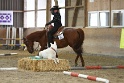 06_Open Horse and Dog Trail